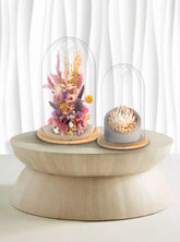 Grove Terrarium Small