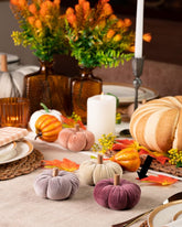 Ara Mini Pumpkin Purple