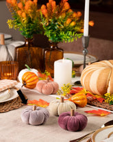 Ara Mini Pumpkin Grey