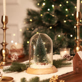 Grove Mini Terrarium