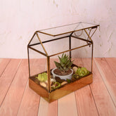Lily Terrarium L 15% Off
