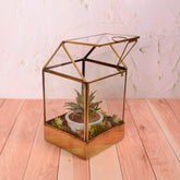 Lily Terrarium S 15% Off