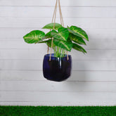 Gerbera Planter Indigo