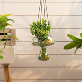 Alora mushroom planter clear L - 25% Off
