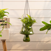 Alora mushroom planter green S