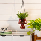 Alora mushroom planter red S