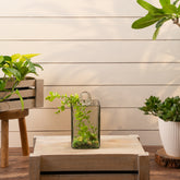 Aria planter L