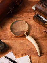 Sierra Magnifying glass A