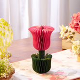 Honey Easter Tulip Pink S