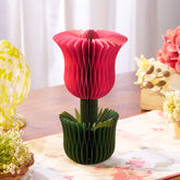 Honey Easter Tulip Pink M