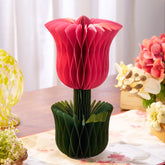 Honey Easter Tulip Pink L