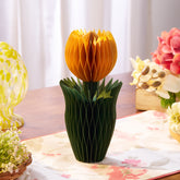 Honey Easter Tulip Yellow M