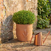 Nico Tulip Planter