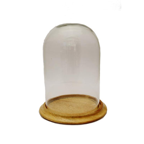 Grove Terrarium Small