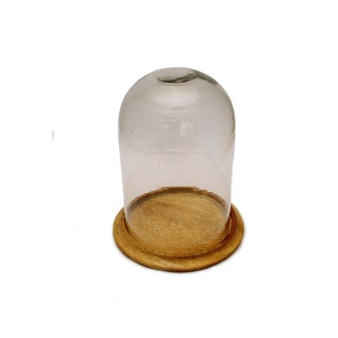 Grove Terrarium Small
