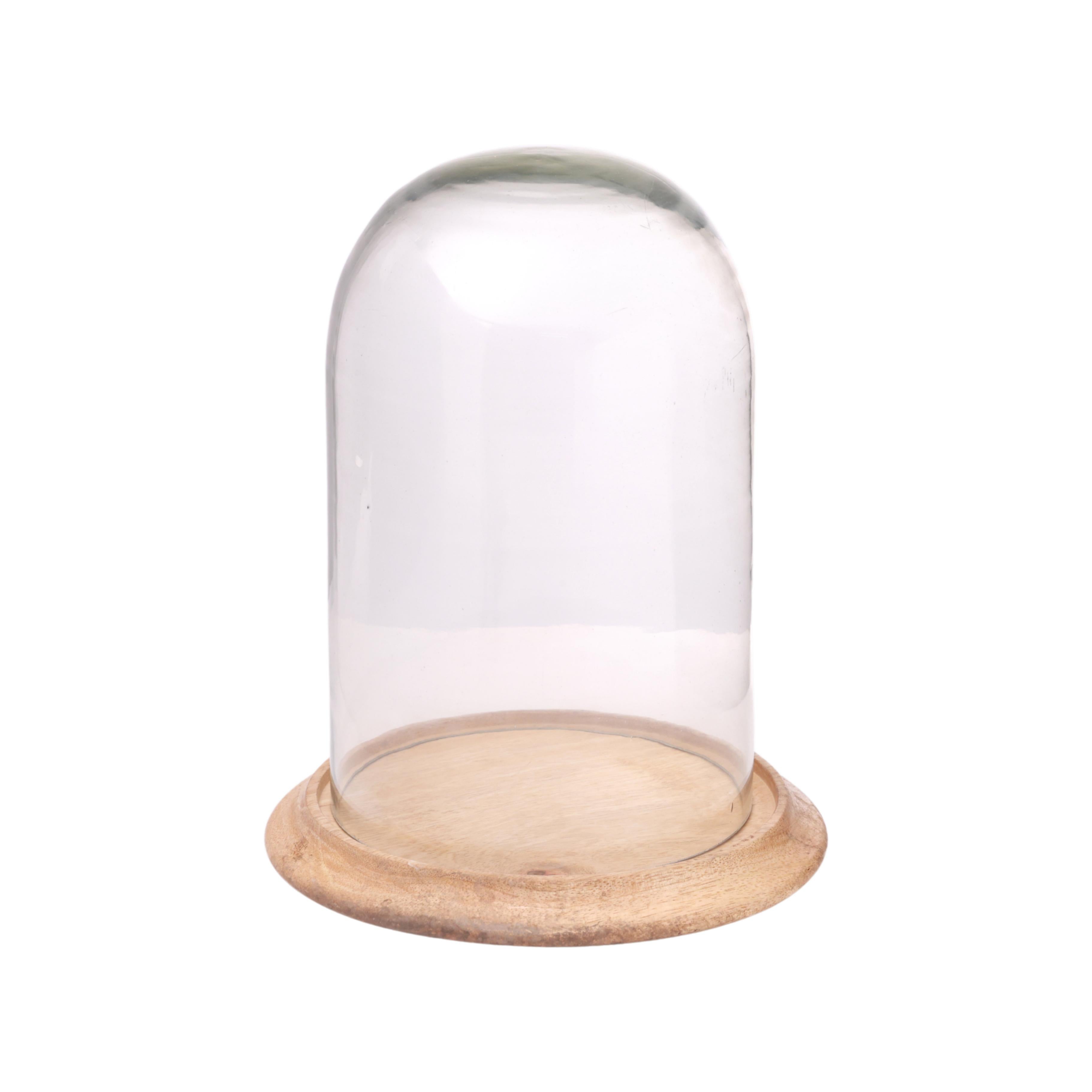 Grove Terrarium Medium