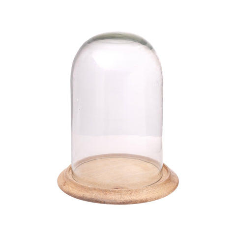 Grove Terrarium Medium
