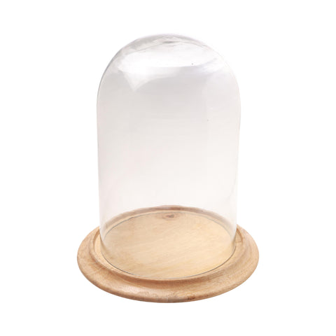 Grove Terrarium Medium
