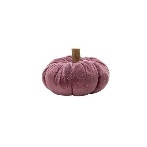 Ara Mini Pumpkin Purple
