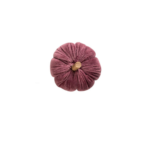 Ara Mini Pumpkin Purple
