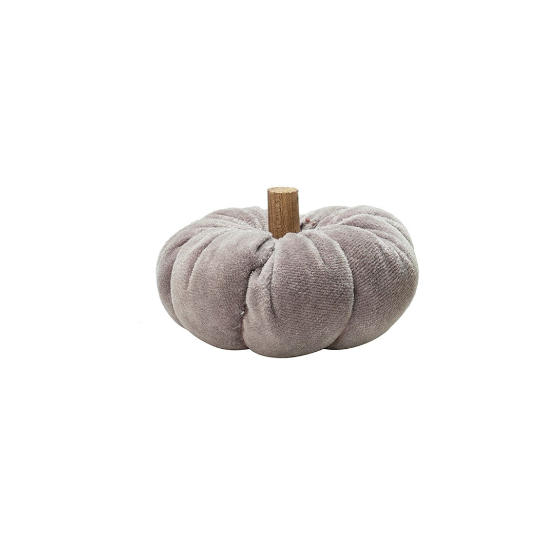 Ara Mini Pumpkin Grey