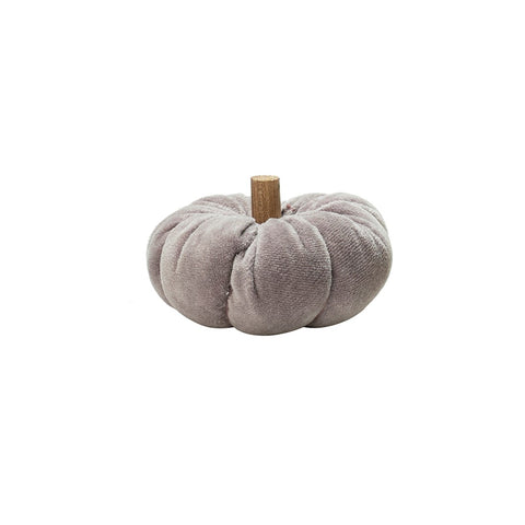 Ara Mini Pumpkin Grey