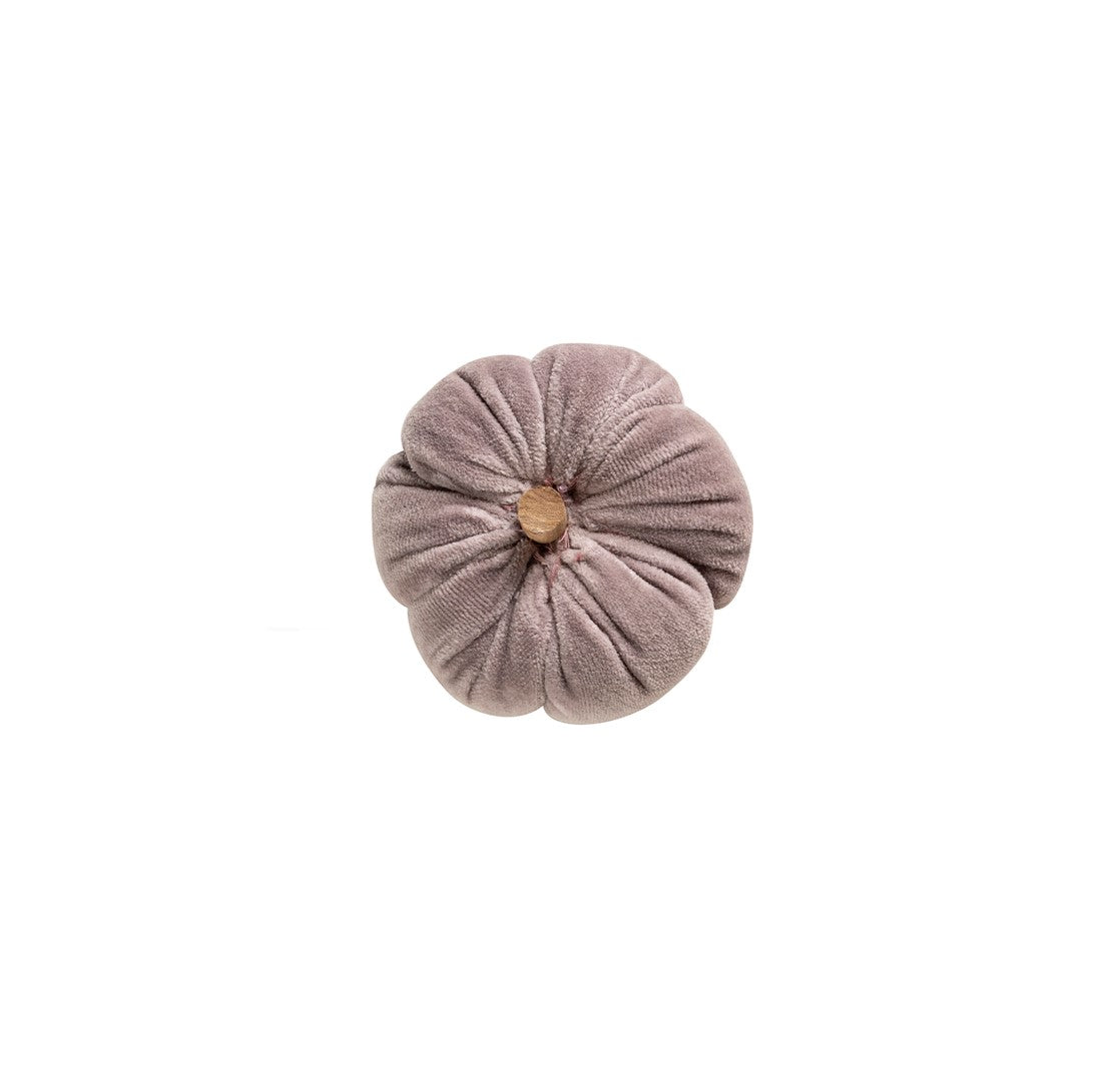 Ara Mini Pumpkin Grey