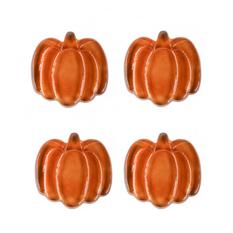 Ara Pumpkin Coasters