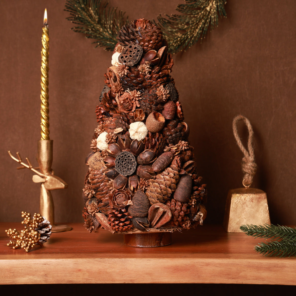 Oak Acorn Tree