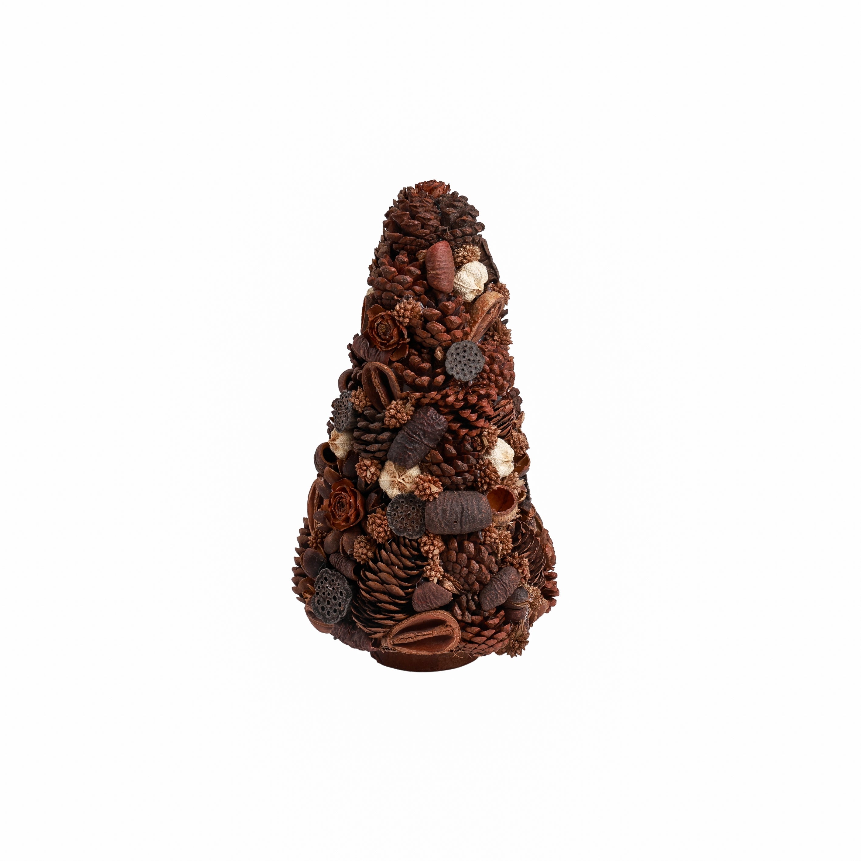 Oak Acorn Tree