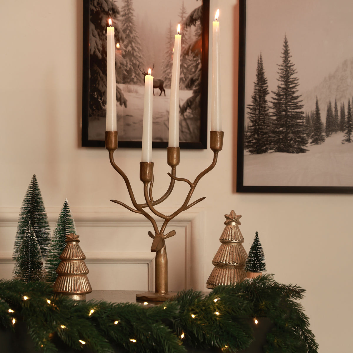 Aster candelabra