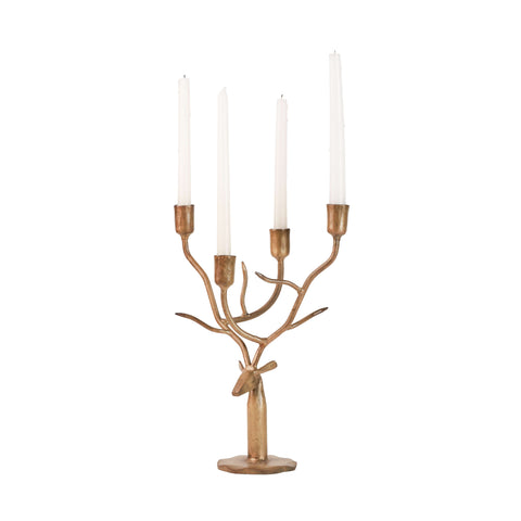Aster candelabra