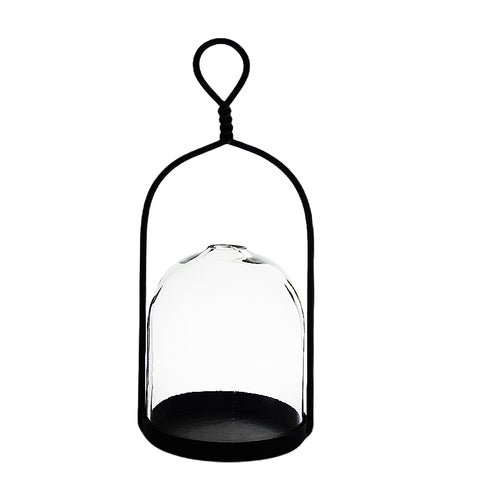 Scilla Lantern