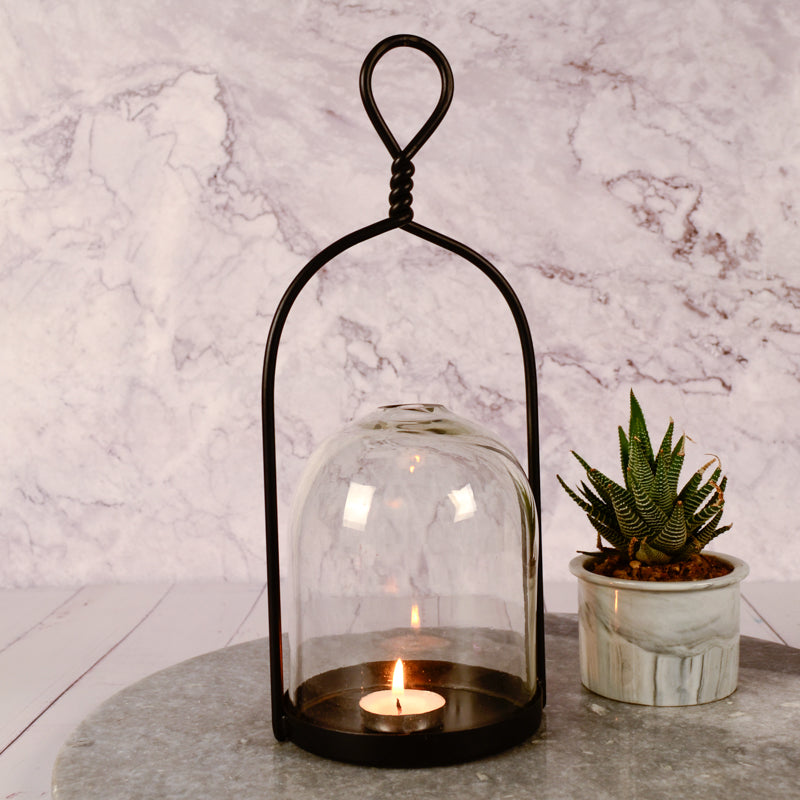 Scilla Lantern