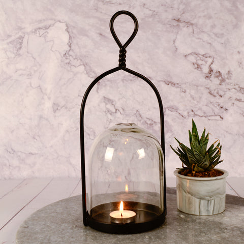 Scilla Lantern