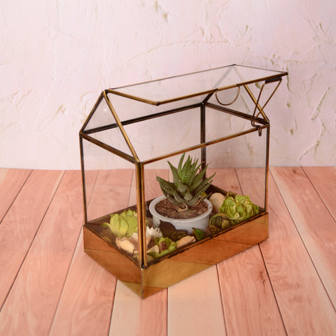 Lily Terrarium L