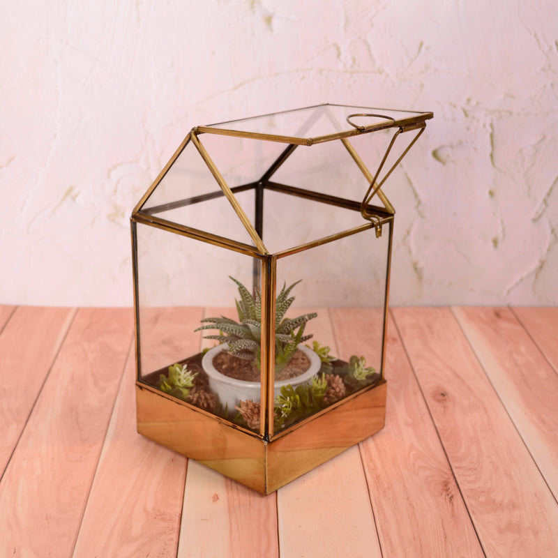 Lily Terrarium S
