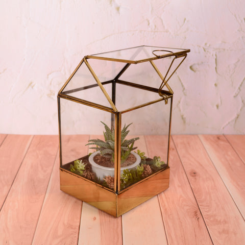 Lily Terrarium S