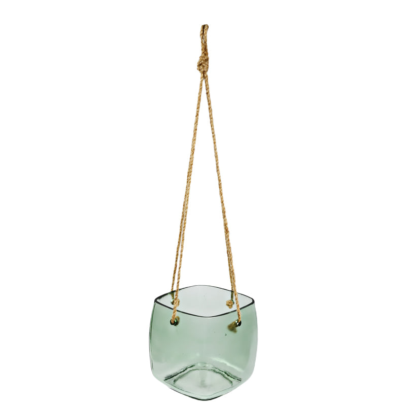 Gerbera Planter Blue