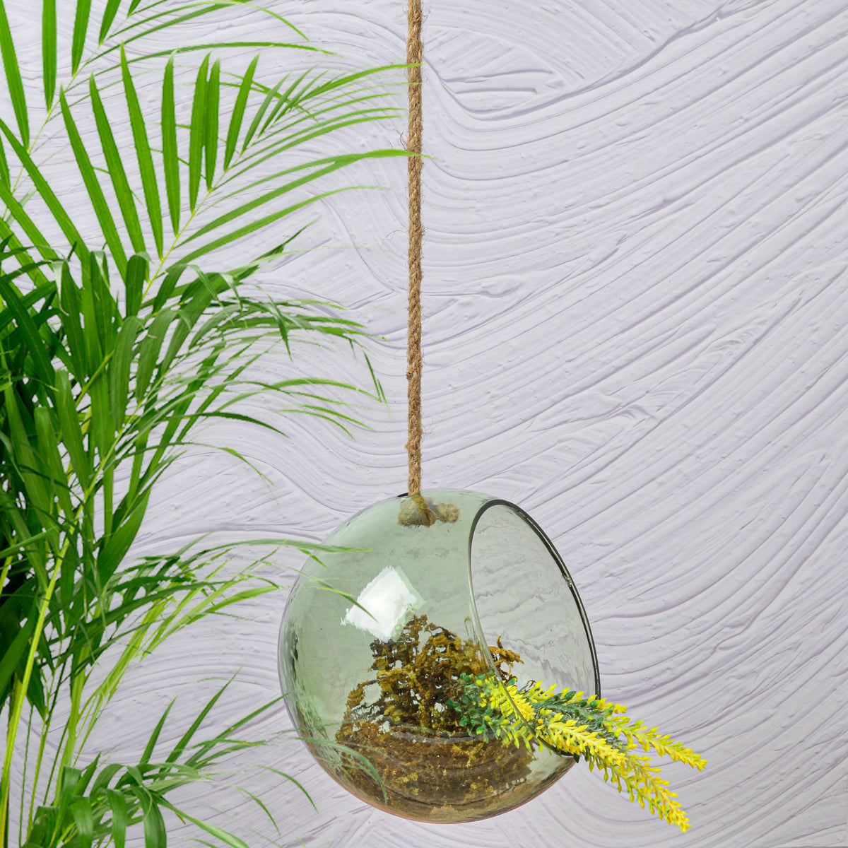 Aria hanging terrarium green L