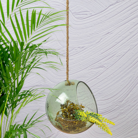 Aria hanging terrarium green L