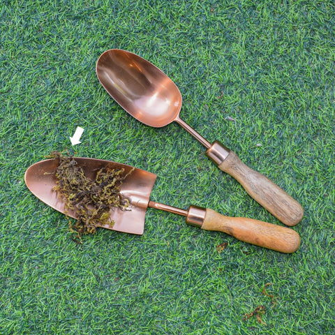 Dana sharp trowel