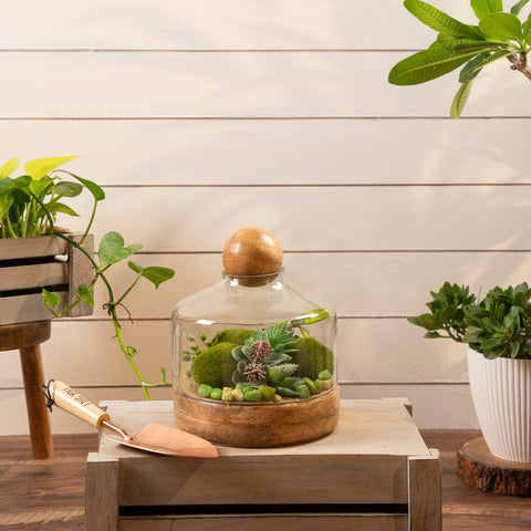 Grove ball terrarium S