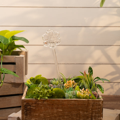 Aria flower plant watering globe