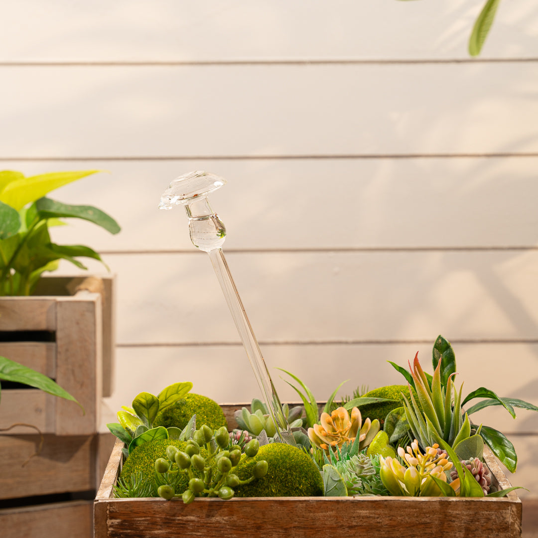 Aria mushroom plant watering globe