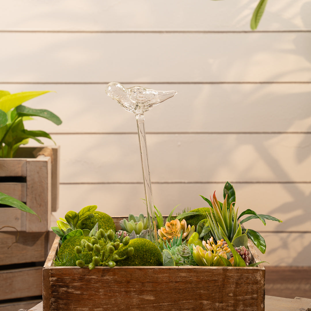 Aria bird plant watering globe