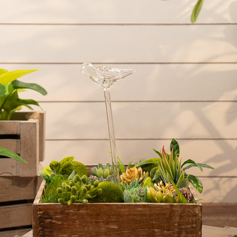Aria bird plant watering globe