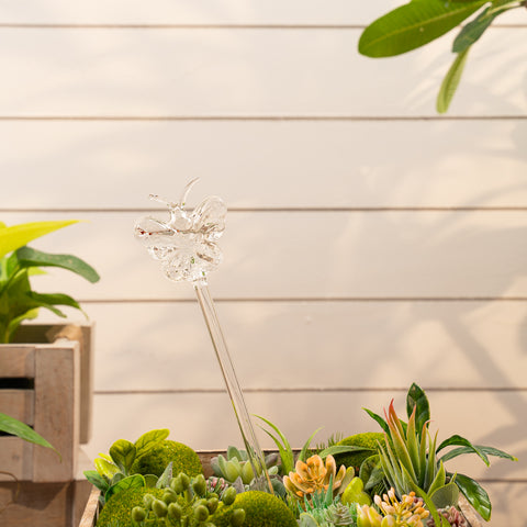 Aria butterfly plant watering globe