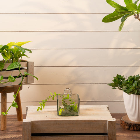 Aria planter S