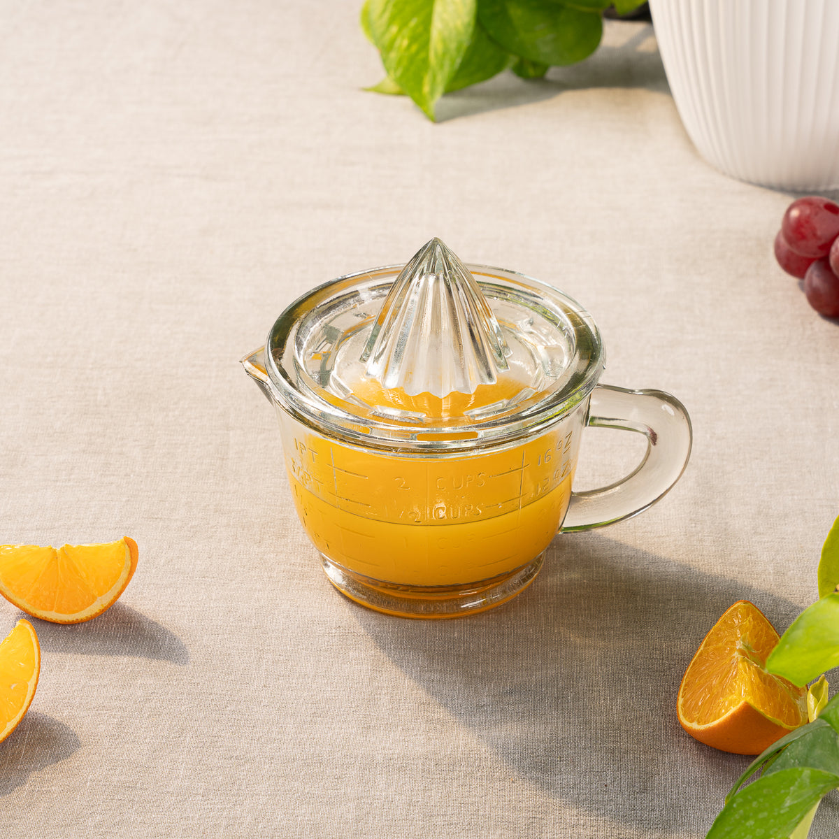 Lily citrus juicer